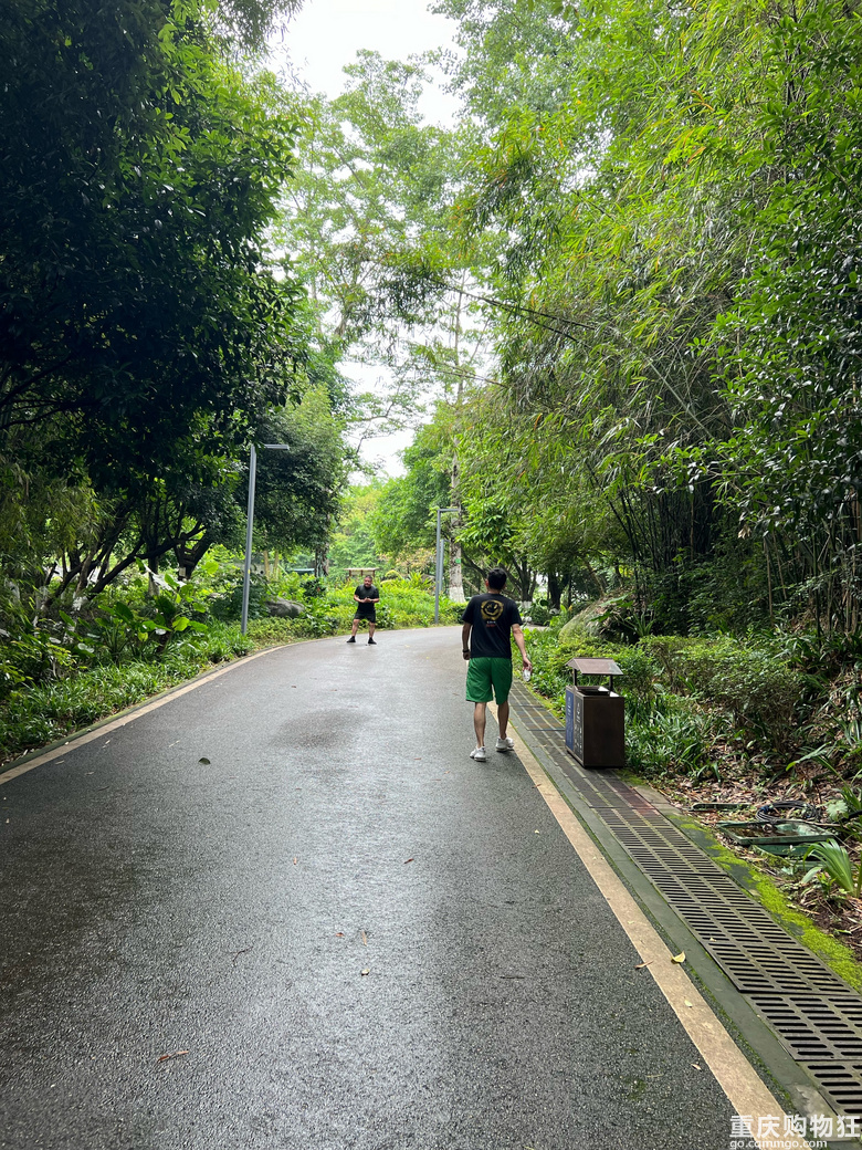 每周徒步/原路取车照母山环线攻略