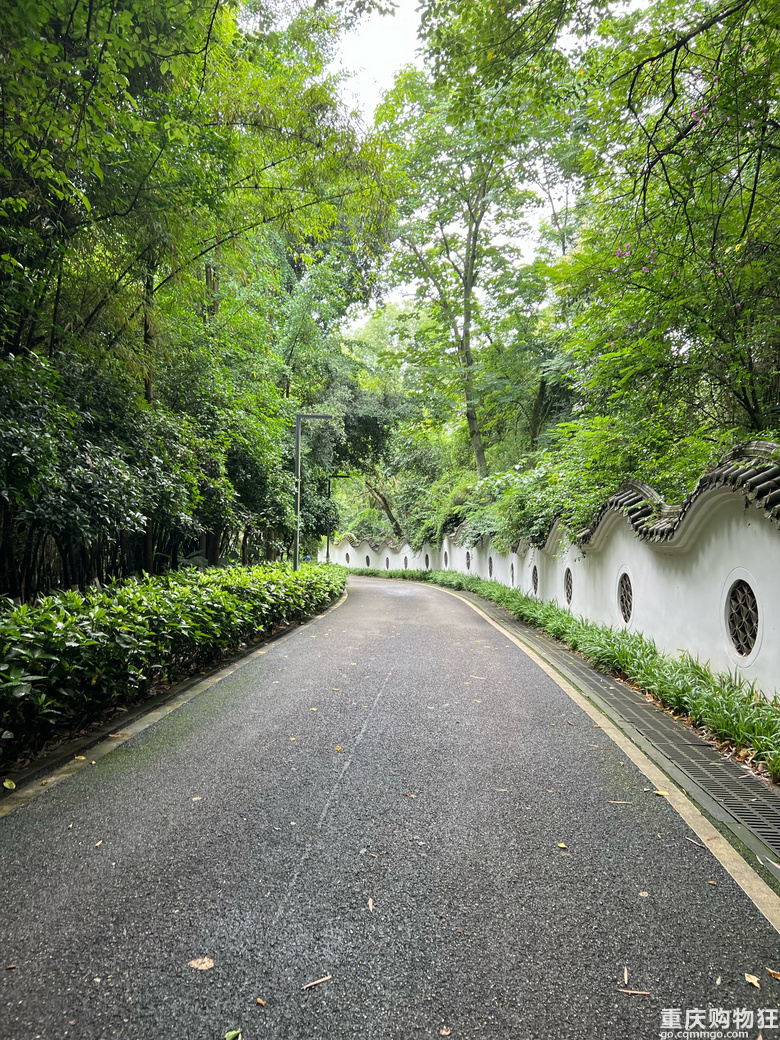 每周徒步/原路取车照母山环线攻略