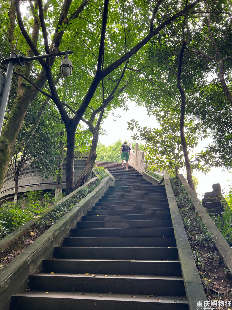 每周徒步/原路取车照母山环线攻略