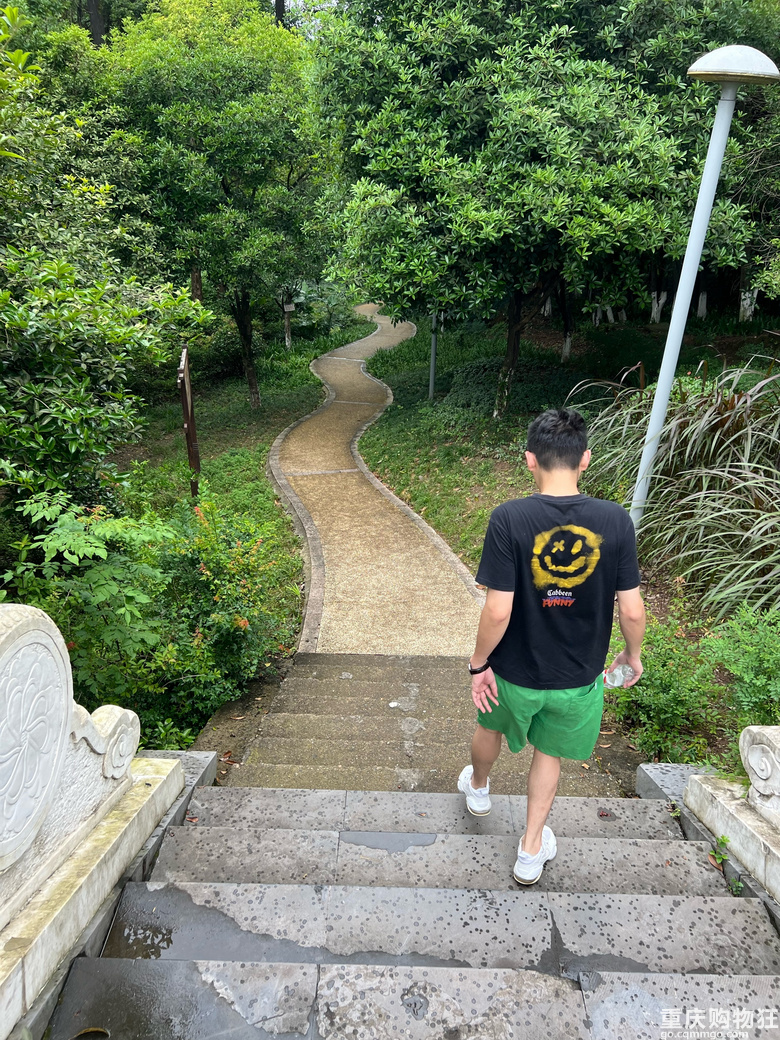每周徒步/原路取车照母山环线攻略