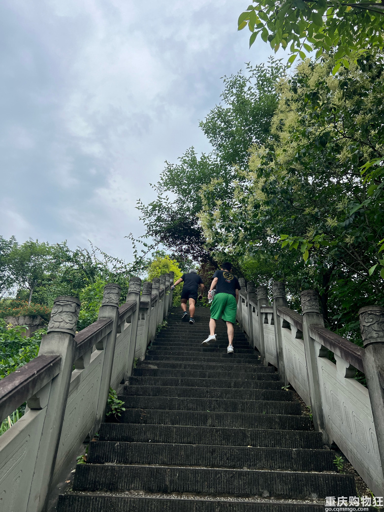 每周徒步/原路取车照母山环线攻略