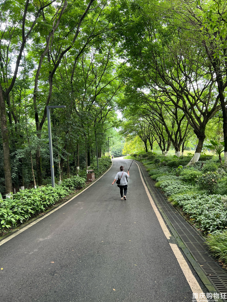 每周徒步/原路取车照母山环线攻略