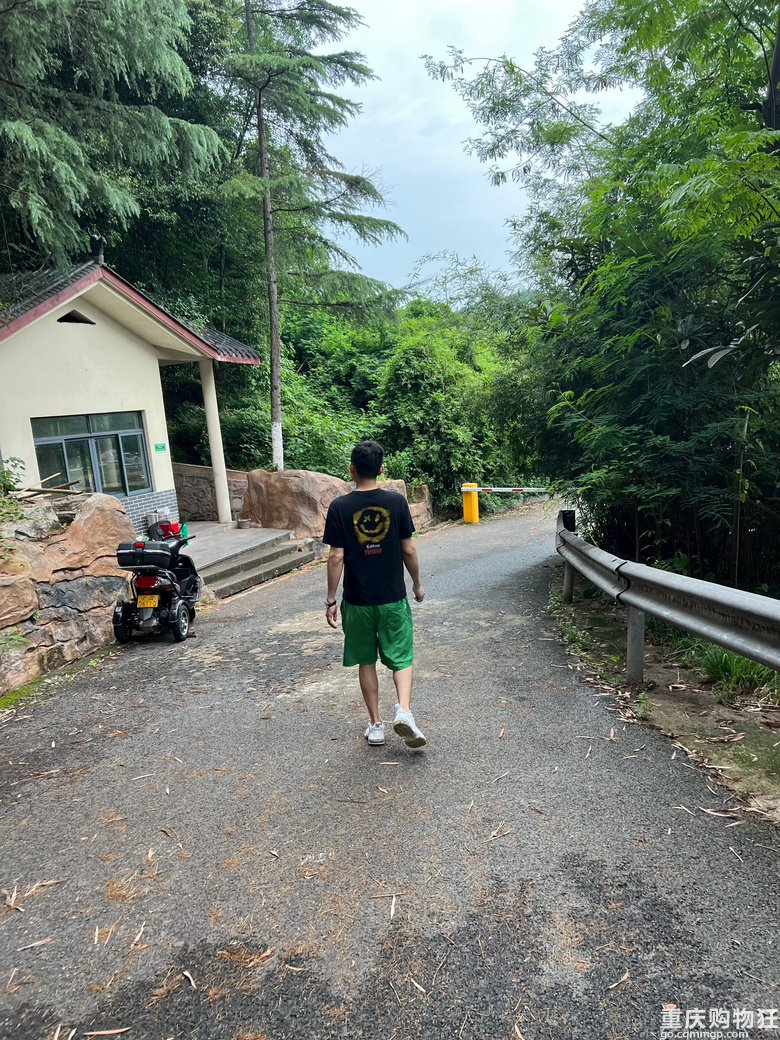 每周徒步/原路取车照母山环线攻略