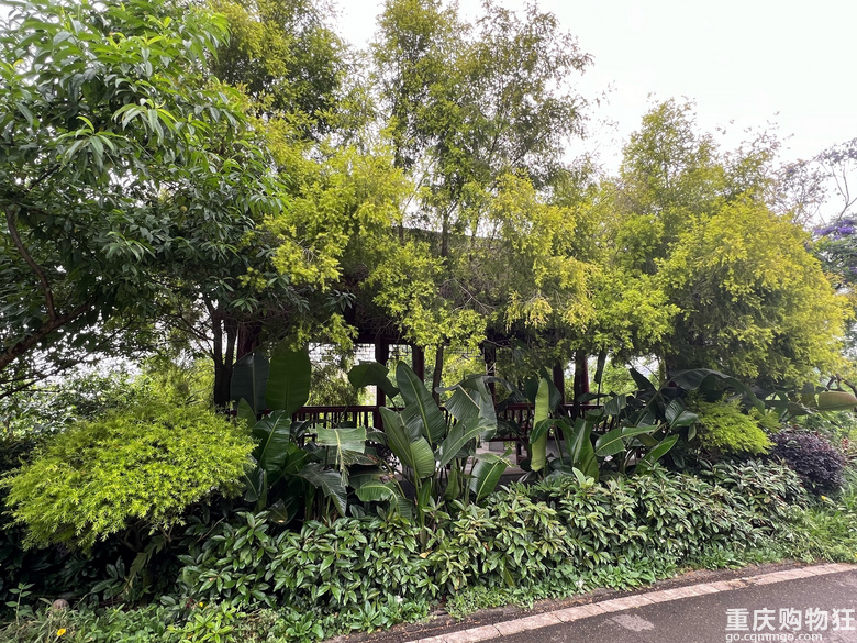 每周徒步/原路取车照母山环线攻略