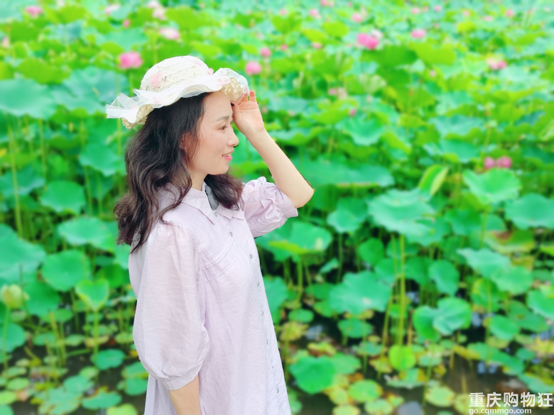 要看荷花的抓紧啦，渝北沐仙湖湿地公园，旁边停车也方便，人不多