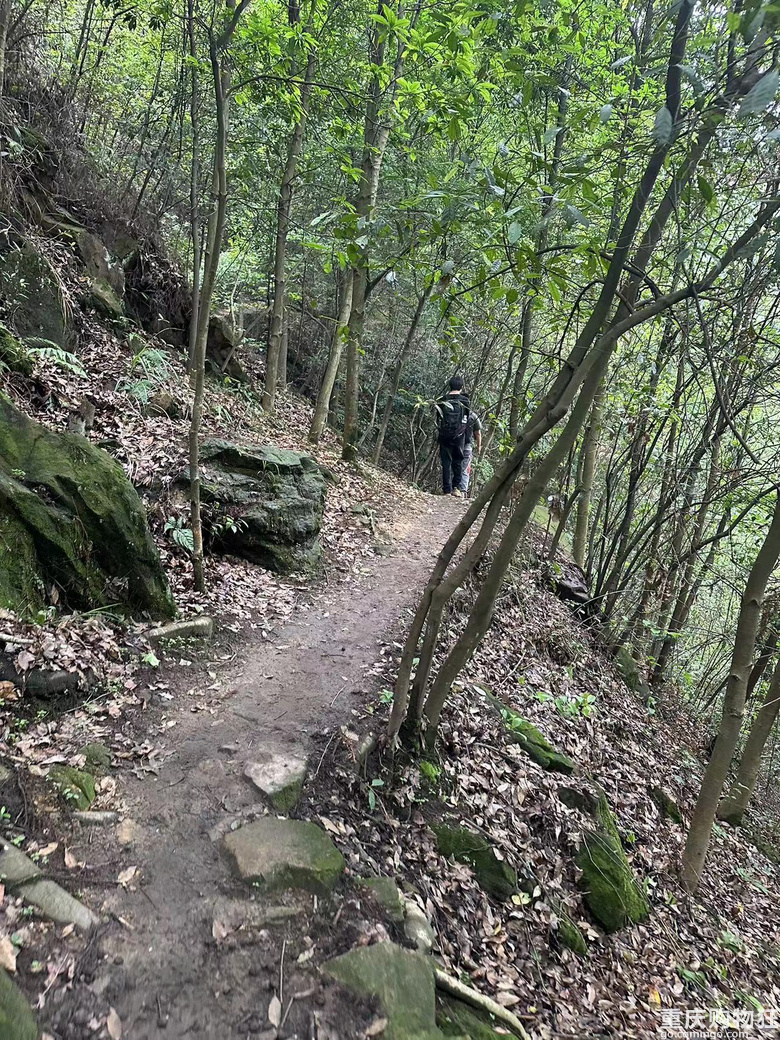 跟着南山活地图，二刷12峰，卡BUG成功通关