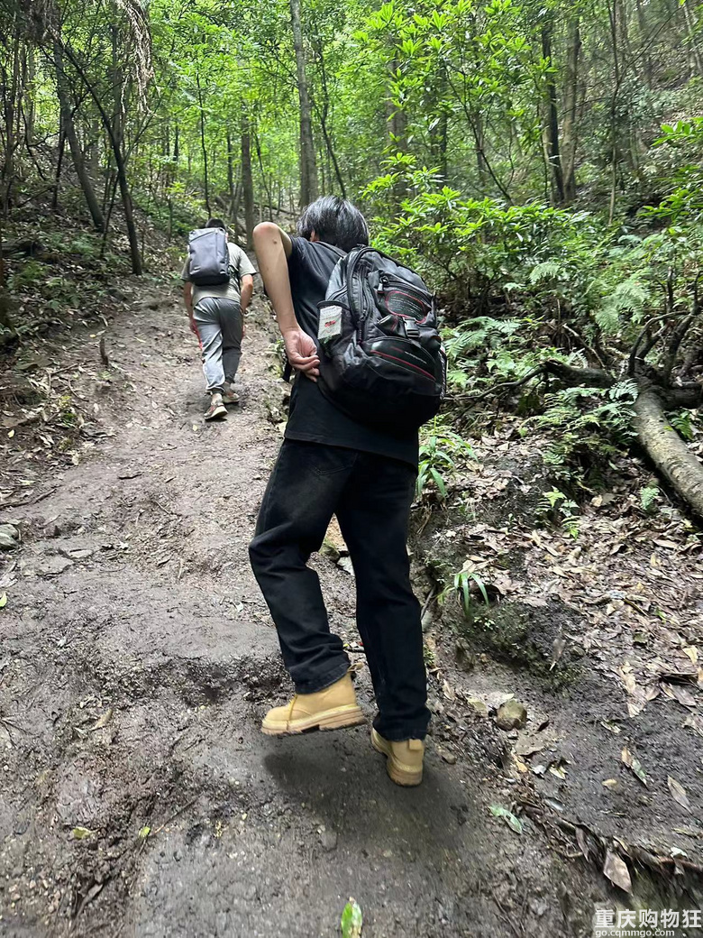 跟着南山活地图，二刷12峰，卡BUG成功通关