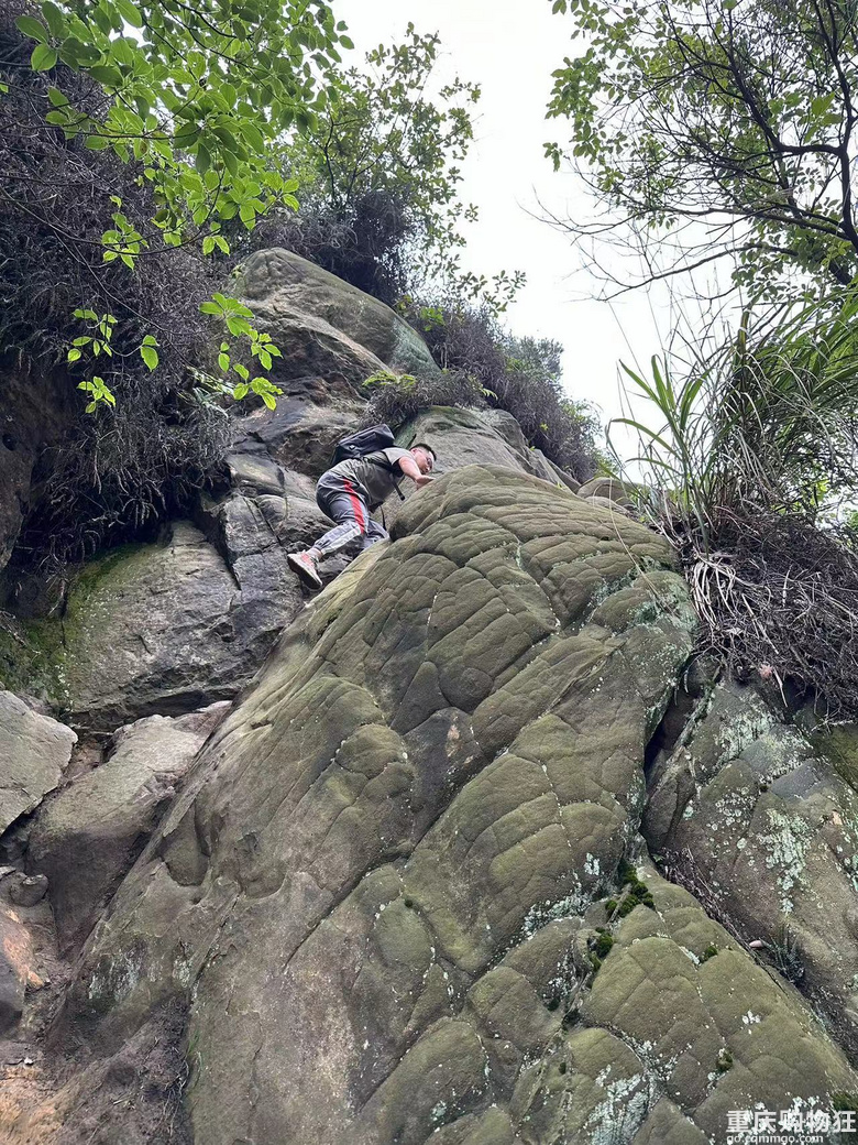 跟着南山活地图，二刷12峰，卡BUG成功通关