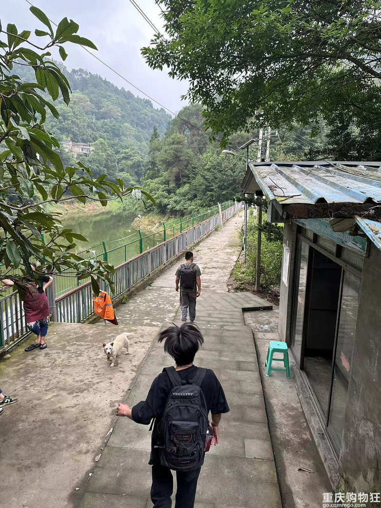 跟着南山活地图，二刷12峰，卡BUG成功通关