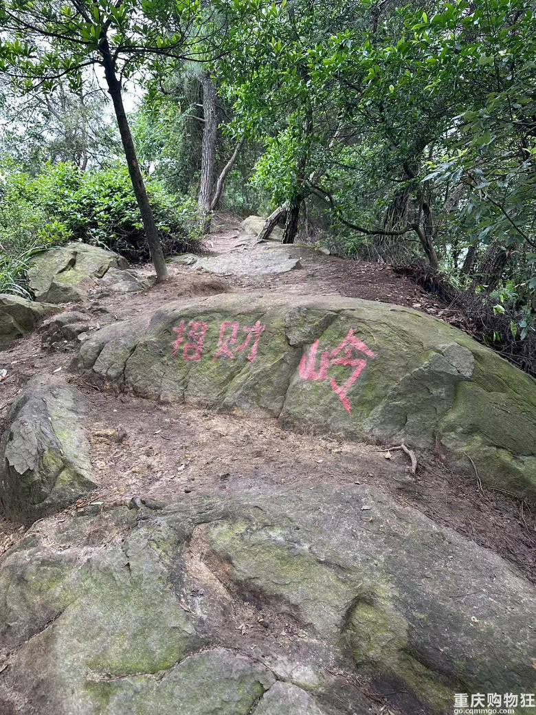 跟着南山活地图，二刷12峰，卡BUG成功通关