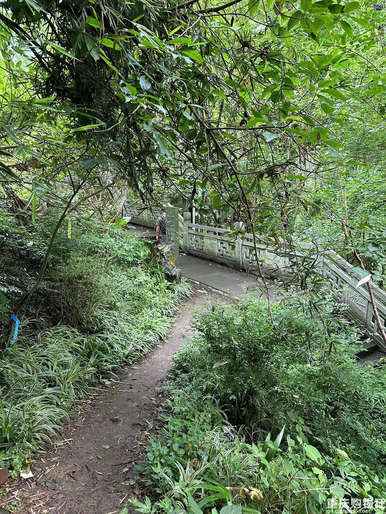 跟着南山活地图，二刷12峰，卡BUG成功通关