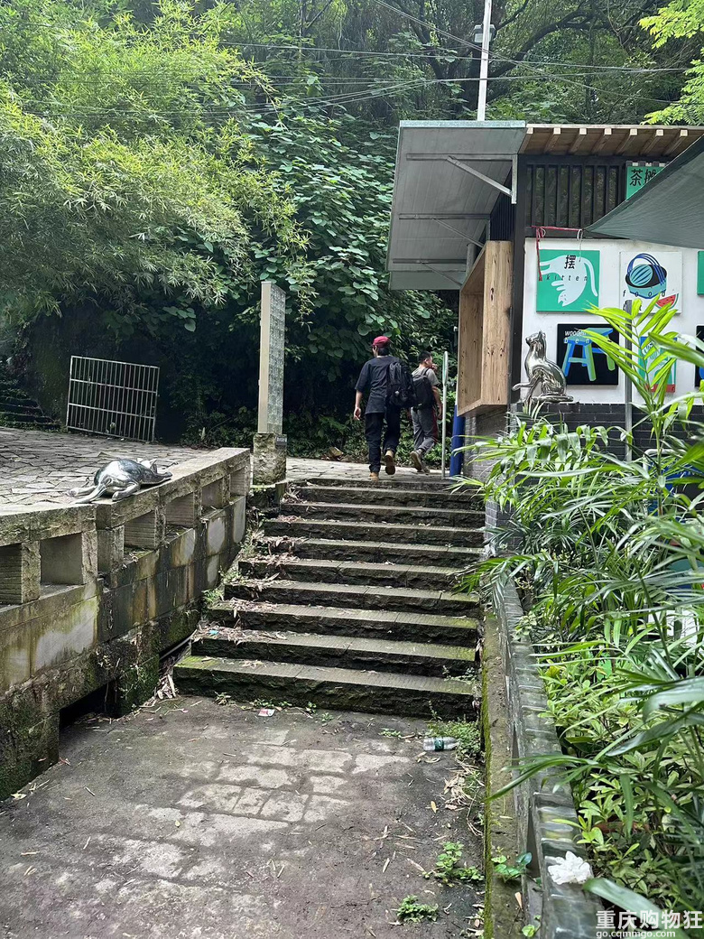 跟着南山活地图，二刷12峰，卡BUG成功通关
