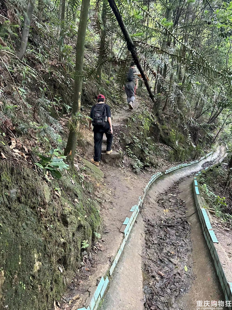 跟着南山活地图，二刷12峰，卡BUG成功通关