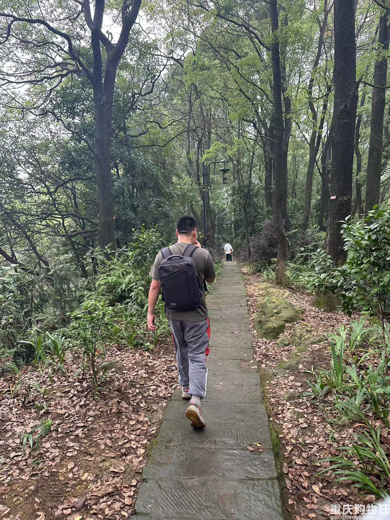 跟着南山活地图，二刷12峰，卡BUG成功通关
