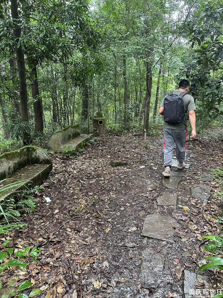 跟着南山活地图，二刷12峰，卡BUG成功通关