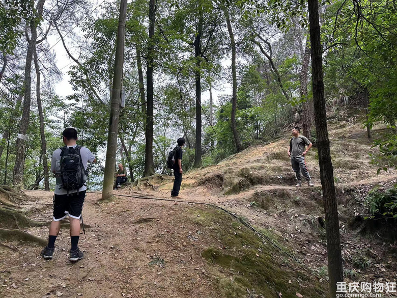 跟着南山活地图，二刷12峰，卡BUG成功通关