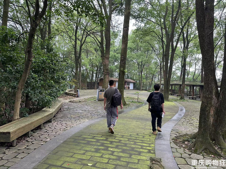 跟着南山活地图，二刷12峰，卡BUG成功通关