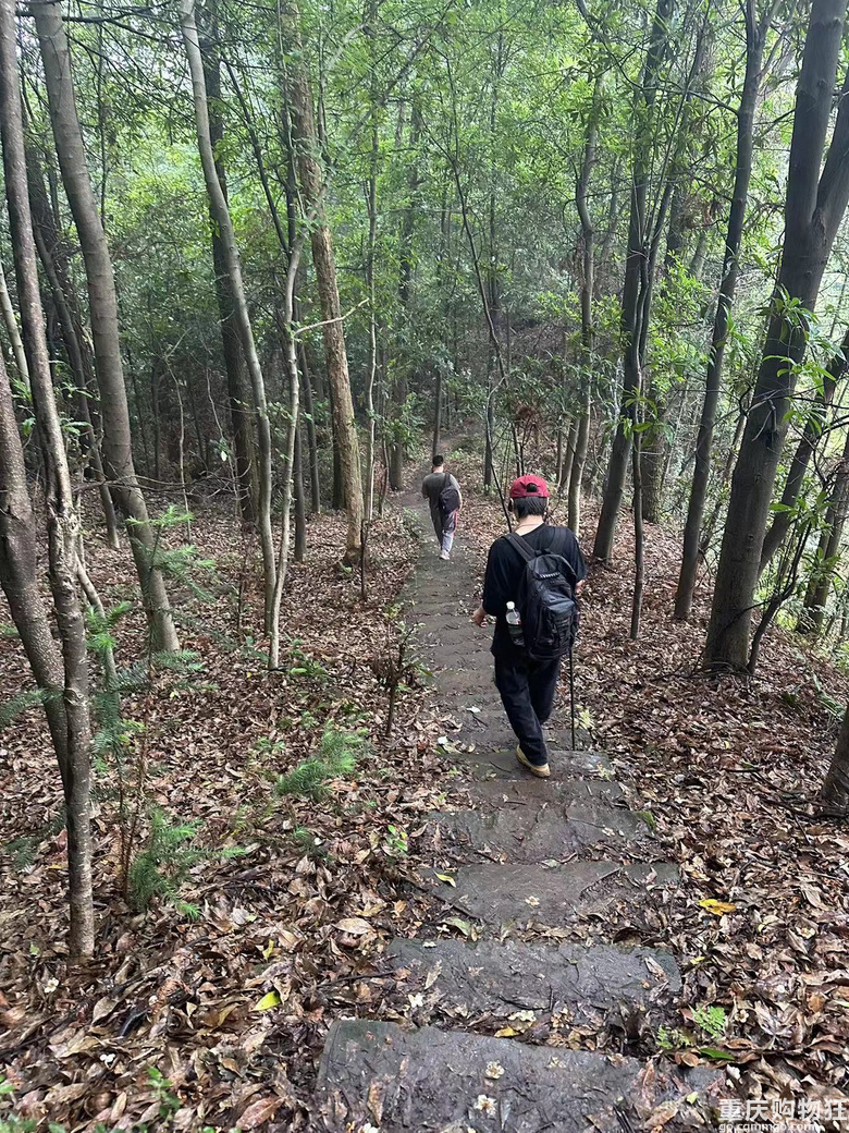 跟着南山活地图，二刷12峰，卡BUG成功通关