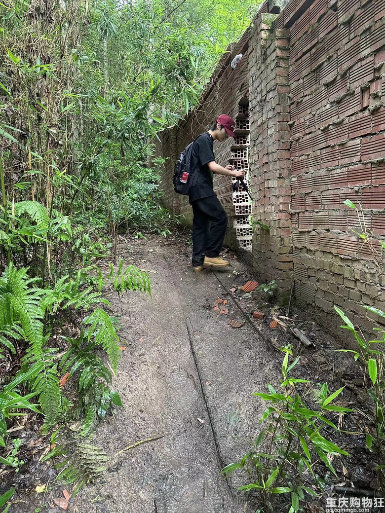 跟着南山活地图，二刷12峰，卡BUG成功通关