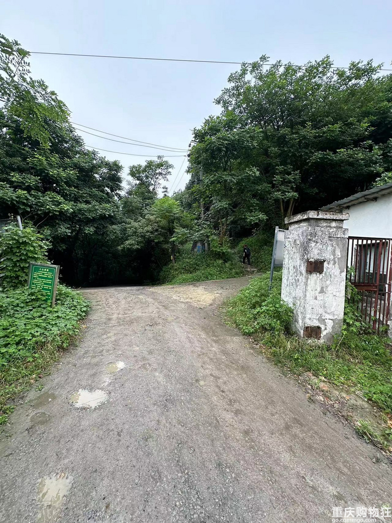 跟着南山活地图，二刷12峰，卡BUG成功通关