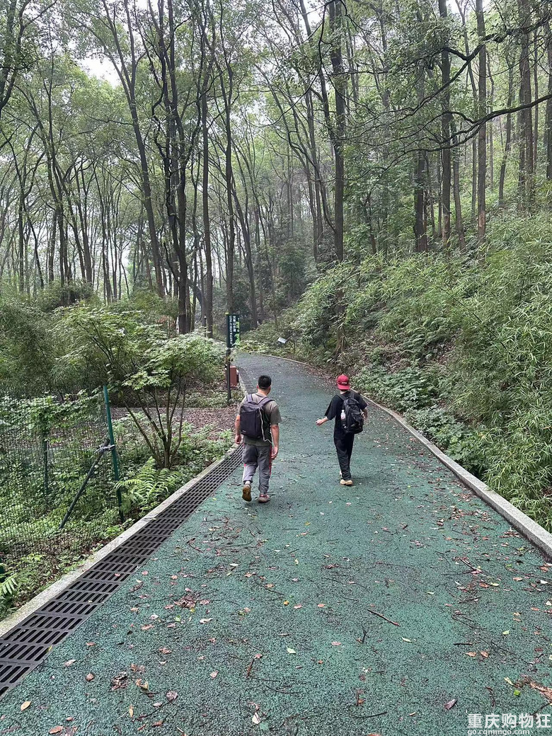 跟着南山活地图，二刷12峰，卡BUG成功通关