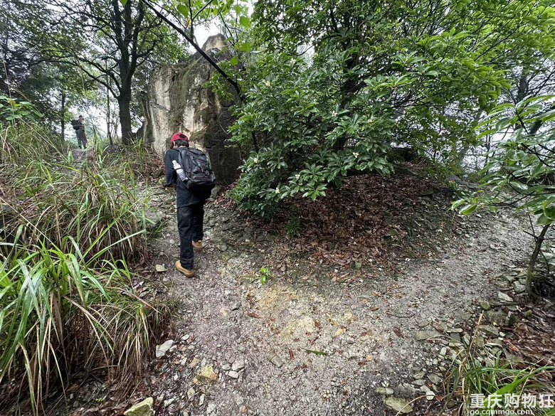 跟着南山活地图，二刷12峰，卡BUG成功通关