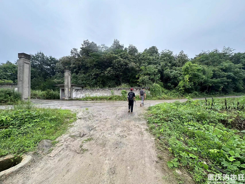 跟着南山活地图，二刷12峰，卡BUG成功通关