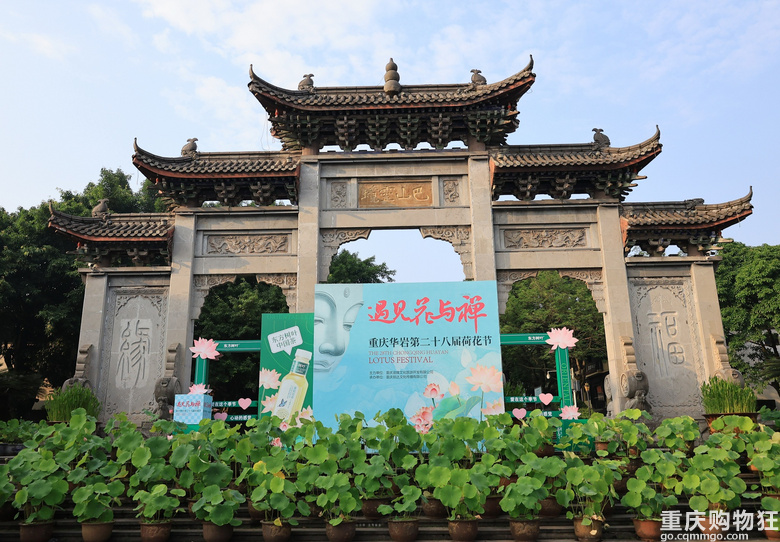 华岩寺的荷花