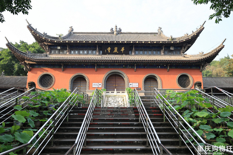 华岩寺的荷花