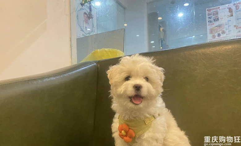 爱会永恒,希望陪你到寿寝正终。