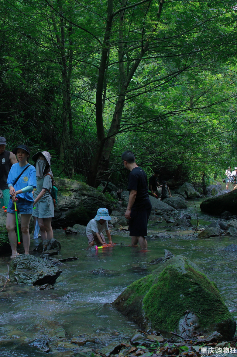 夏日溯溪指南|重庆南川清凉溪耍水啊
