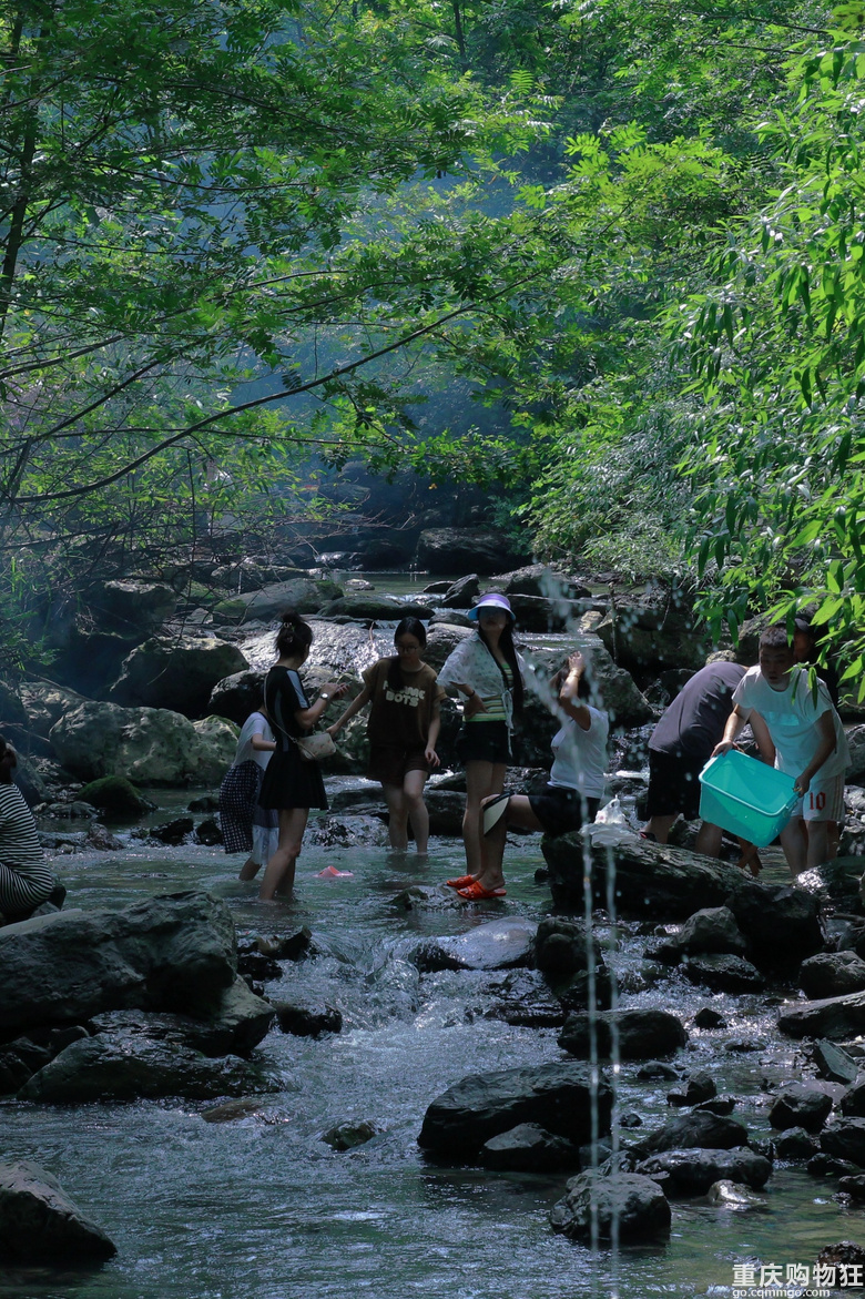 夏日溯溪指南|重庆南川清凉溪耍水啊