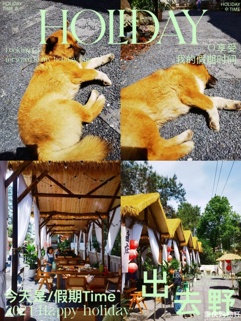 桃李乡的悠闲时光