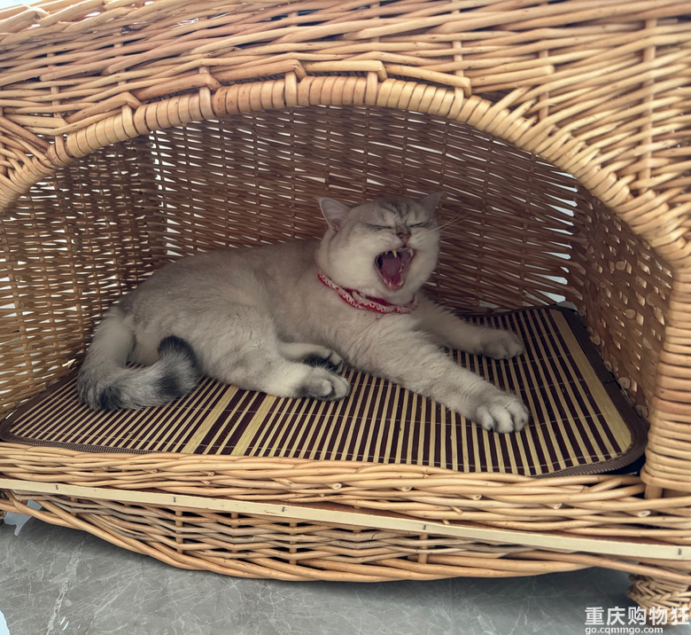 每天睡到10点半，还能省掉一顿饭