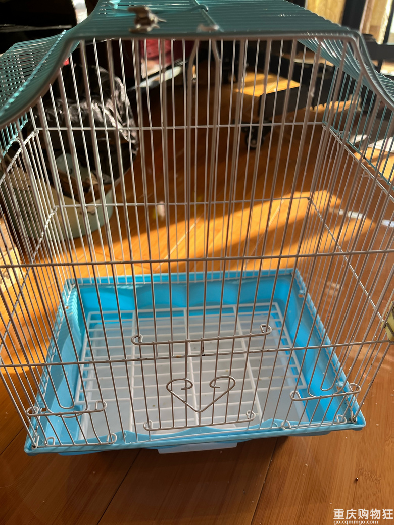 炫凤鹦鹉转让