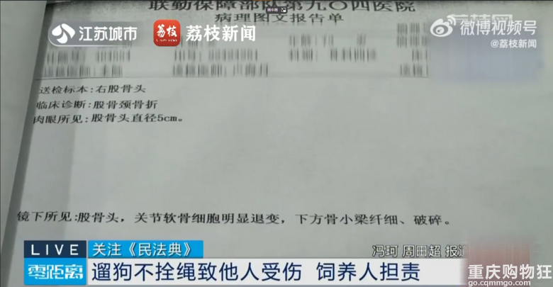 遛泰迪不拴绳致人受惊摔伤判赔15万
