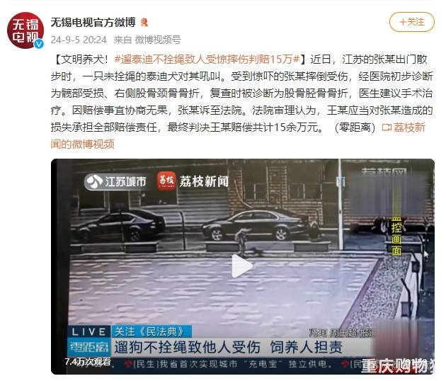 遛泰迪不拴绳致人受惊摔伤判赔15万