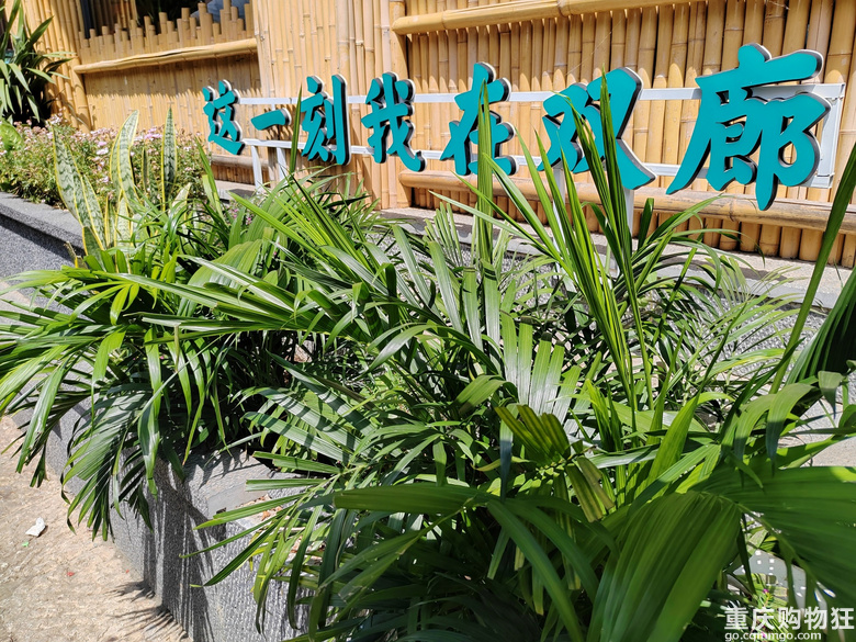 一路向南，逃离42℃的重庆夏天，怎么玩转云南热门景点