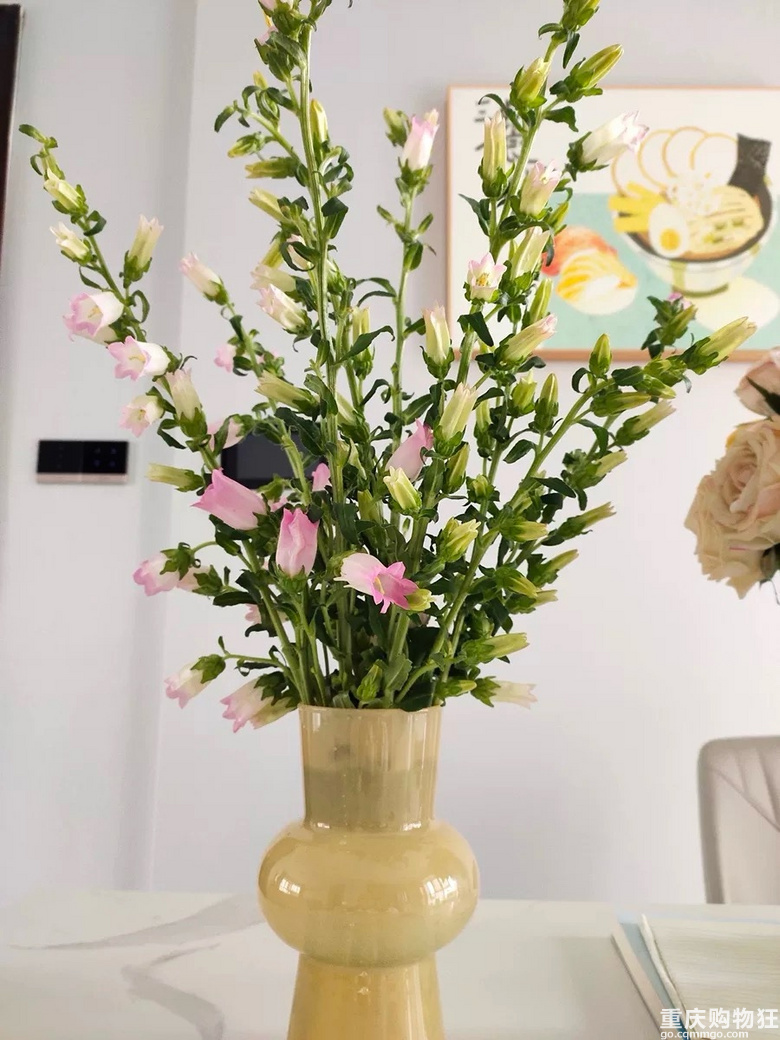 刚买的ins风花瓶还不错，2个不到20元
