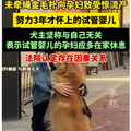 未牵绳金毛扑向孕妇，致腹内试管婴儿流产，犬主:大肚子还往外跑