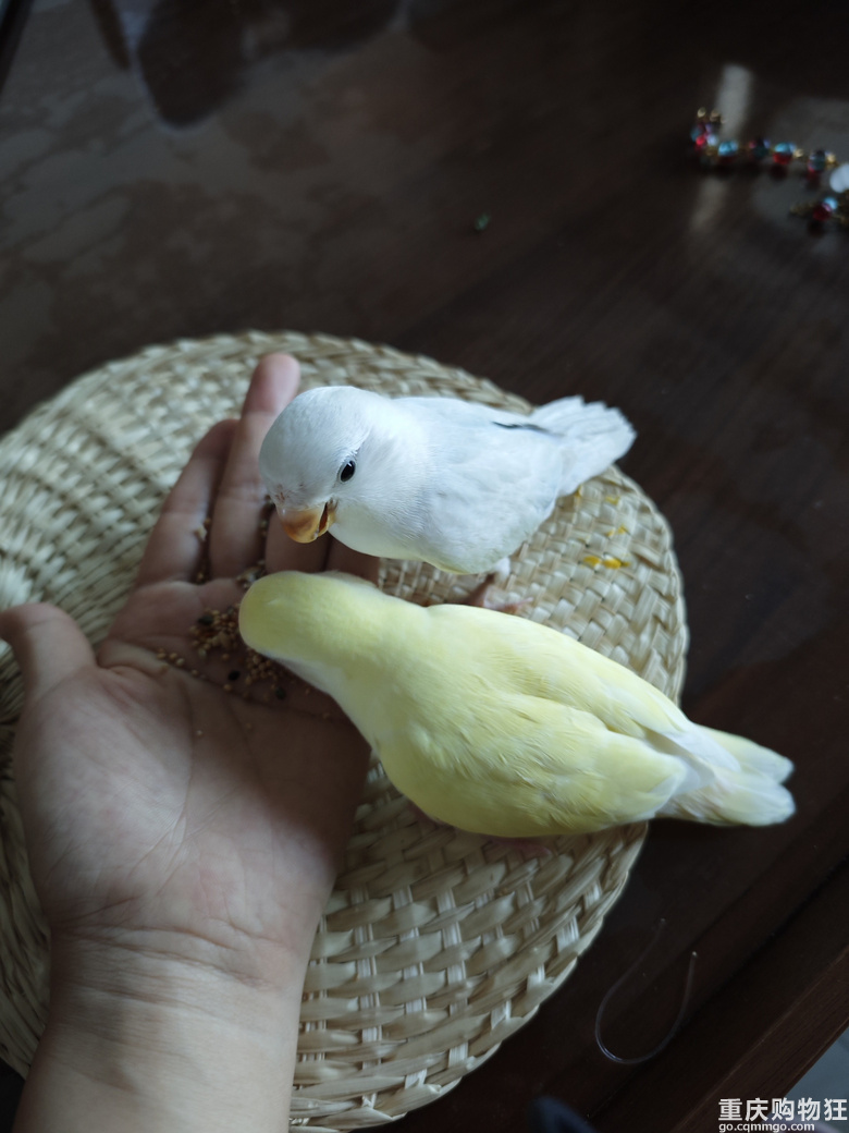 ����Ҽҵăɂ���