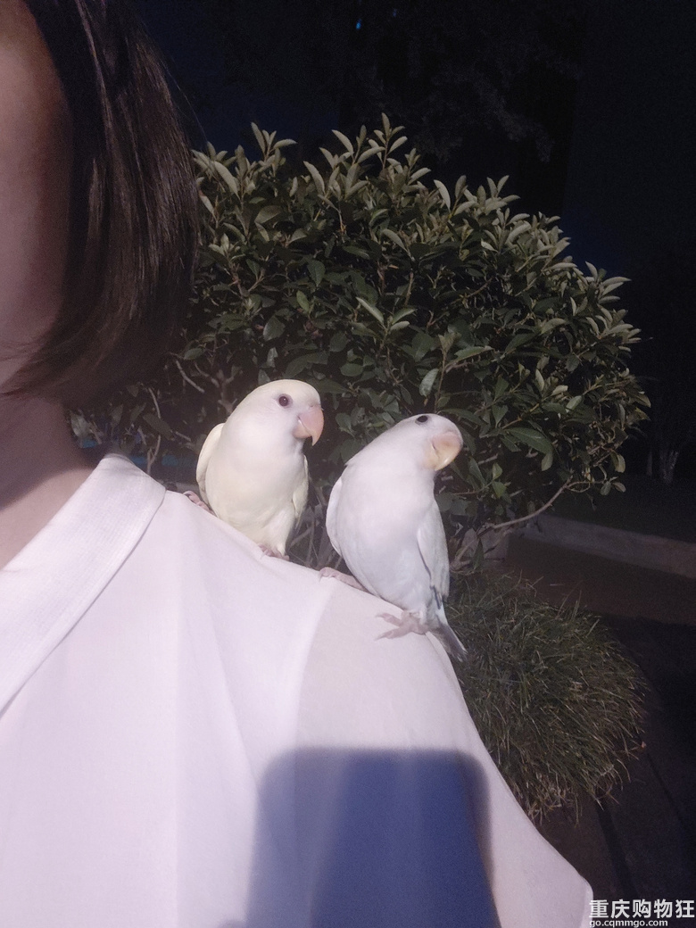 ����Ҽҵăɂ���