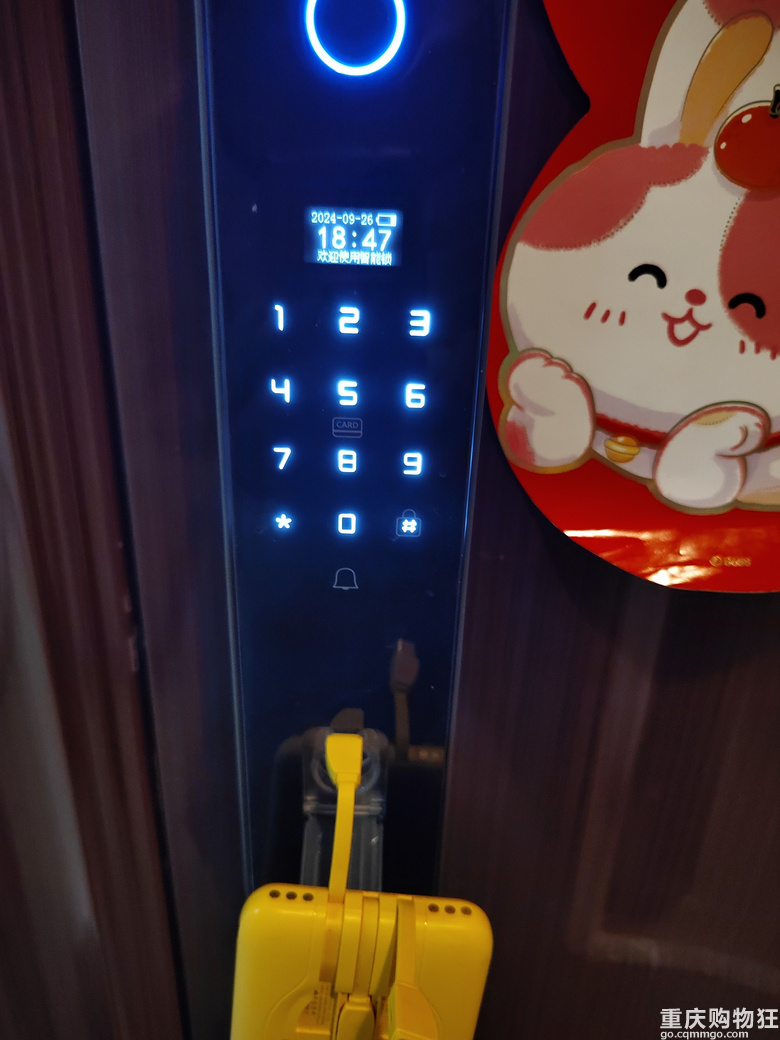 用了一年的智能锁，一直以为是充电款，直到今天才发现是电池款