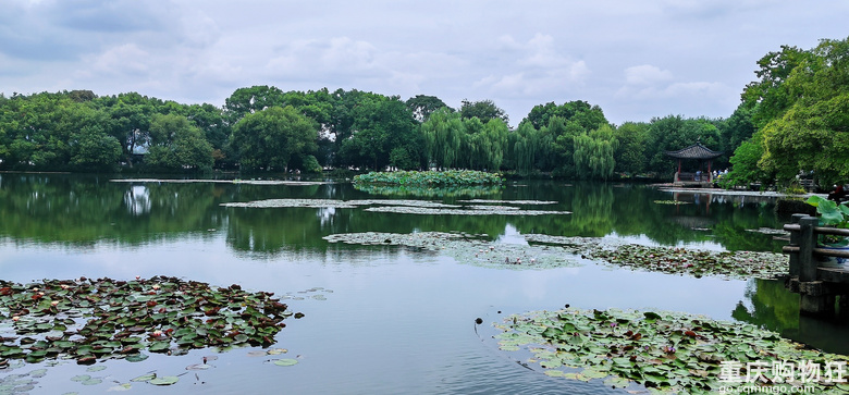 柏悦邀我免费住，机票700往返，人均1200杭州绍兴亲子游