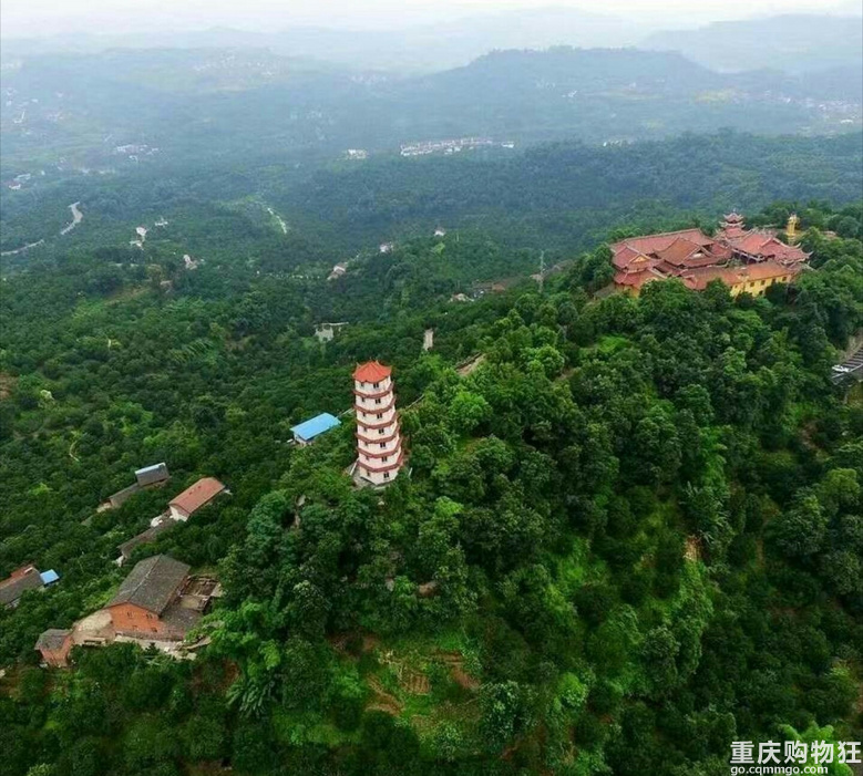 调查下有多少人爱吃沙田柚的...