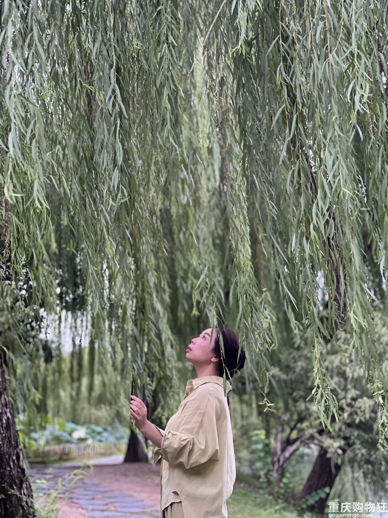 扬州（一个人的出逃记）