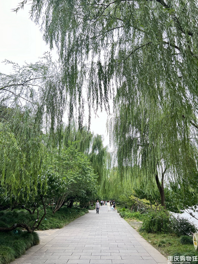 扬州（一个人的出逃记）