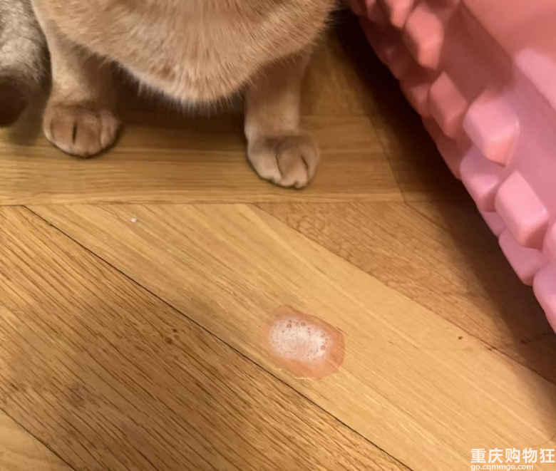 “动保”背后是生意