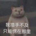 论老一辈的八卦有多乱？无意间撞见的炸裂瓜，这是可以看的吗