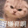 开始生理性讨厌我的男友了，恋爱谈到最后，都会走到这一步？